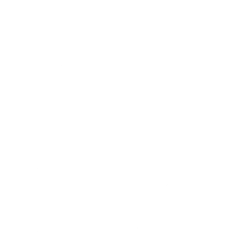 Alux Cosmetics logo – Handmade natural soaps and organic skincare in Dubai, UAE